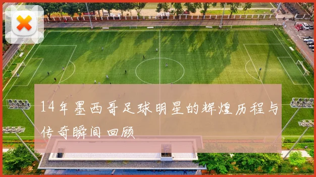 14年墨西哥足球明星的辉煌历程与传奇瞬间回顾