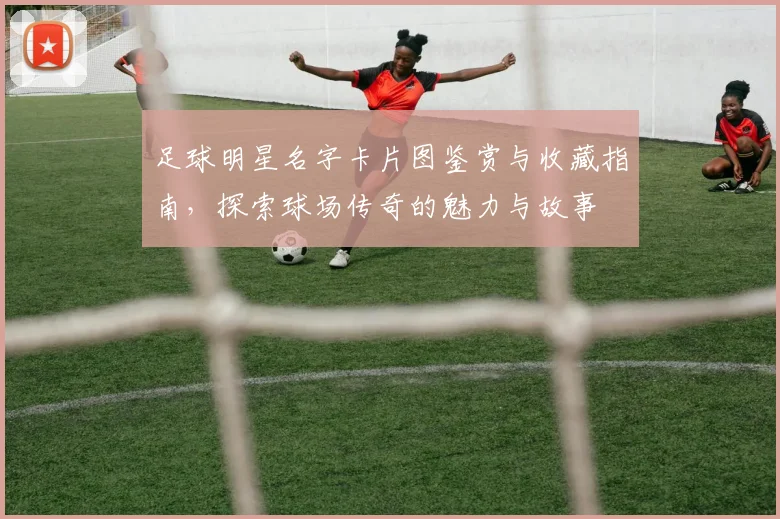 足球明星名字卡片图鉴赏与收藏指南，探索球场传奇的魅力与故事