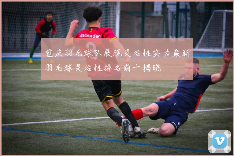 重庆羽毛球队展现灵活性实力最新羽毛球灵活性排名前十揭晓