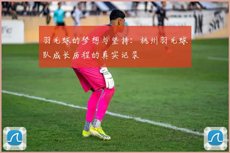 羽毛球的梦想与坚持：杭州羽毛球队成长历程的真实记录