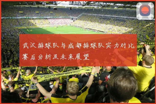 武汉排球队与成都排球队实力对比赛后分析及未来展望