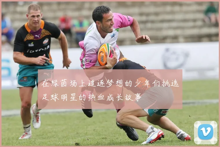 在绿茵场上追逐梦想的少年们挑选足球明星的热血成长故事