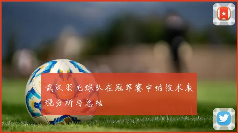 武汉羽毛球队在冠军赛中的技术表现分析与总结