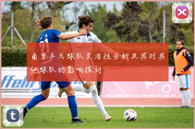 南京乒乓球队灵活性分析及其对其他球队的影响探讨