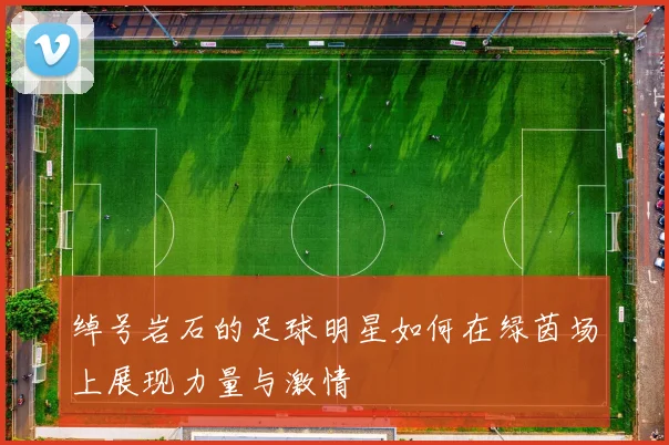 绰号岩石的足球明星如何在绿茵场上展现力量与激情