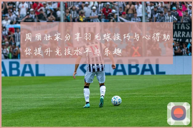 周丽独家分享羽毛球技巧与心得助你提升竞技水平与乐趣