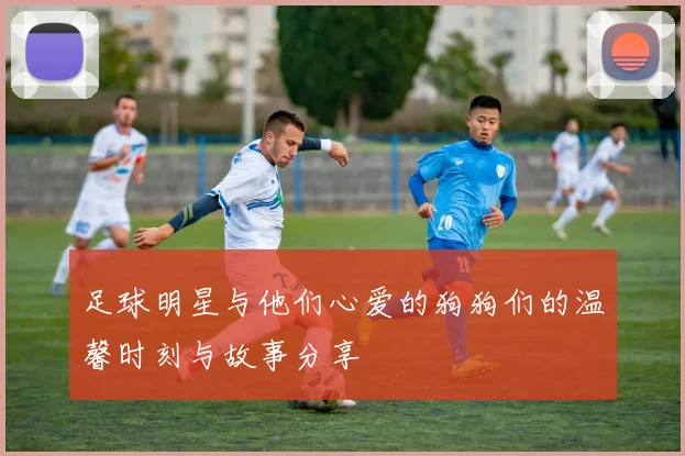 足球明星与他们心爱的狗狗们的温馨时刻与故事分享