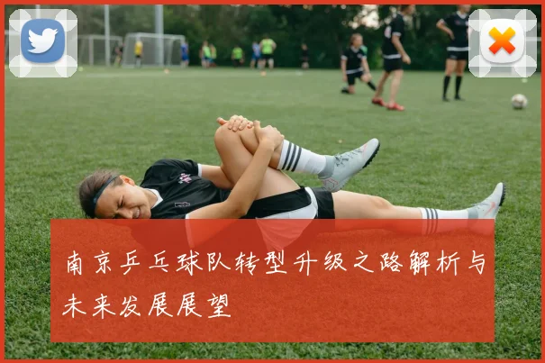 南京乒乓球队转型升级之路解析与未来发展展望