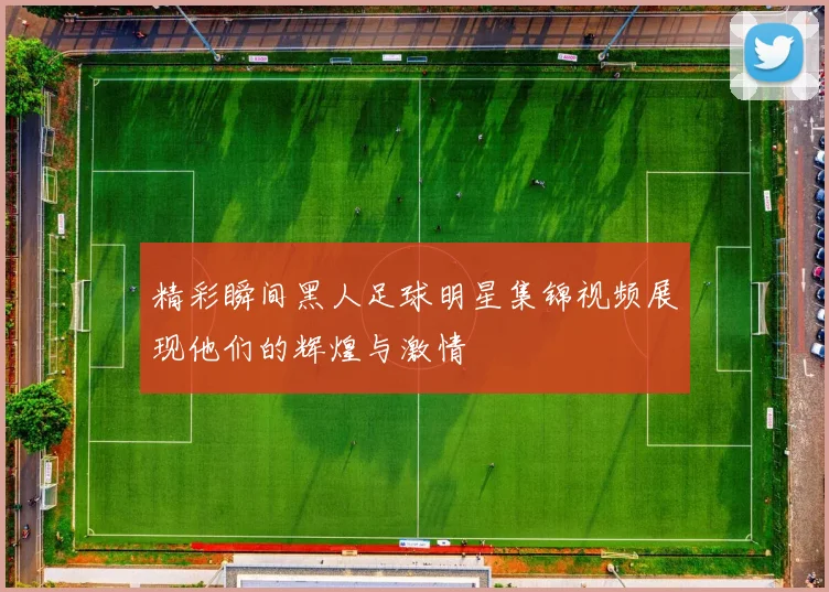 精彩瞬间黑人足球明星集锦视频展现他们的辉煌与激情