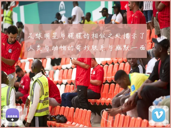 足球明星与猩猩的相似之处揭示了人类与动物的奇妙联系与幽默一面