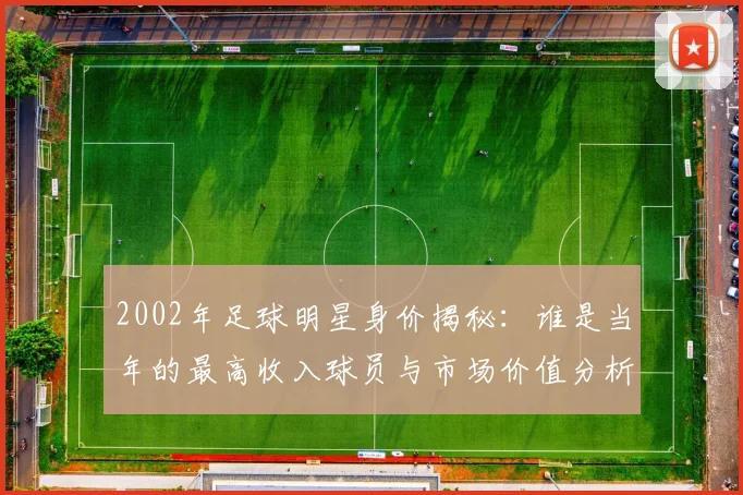 2002年足球明星身价揭秘：谁是当年的最高收入球员与市场价值分析