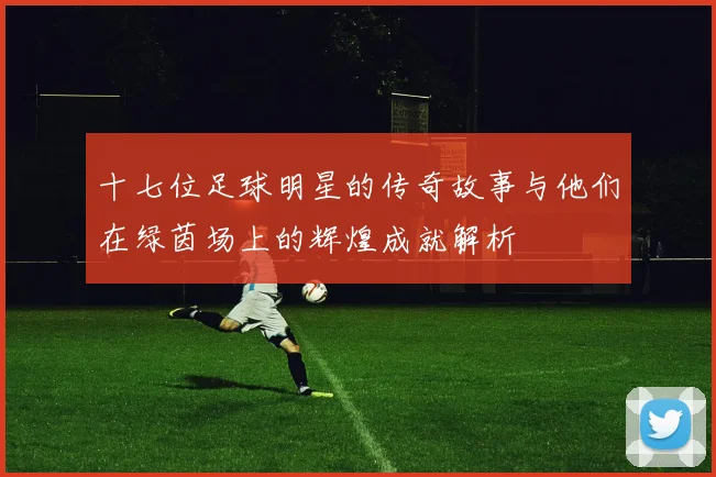 十七位足球明星的传奇故事与他们在绿茵场上的辉煌成就解析