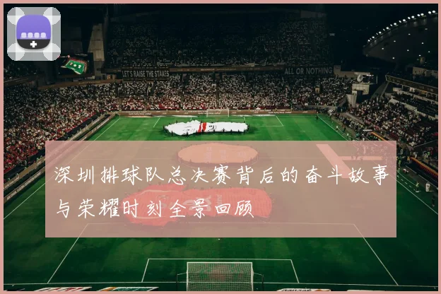 深圳排球队总决赛背后的奋斗故事与荣耀时刻全景回顾